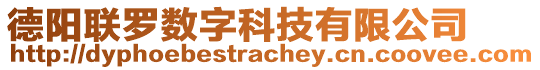 德陽聯(lián)羅數(shù)字科技有限公司