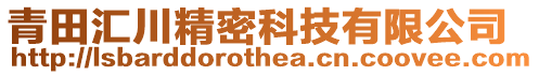 青田匯川精密科技有限公司