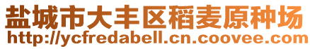 鹽城市大豐區(qū)稻麥原種場