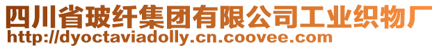 四川省玻纖集團(tuán)有限公司工業(yè)織物廠