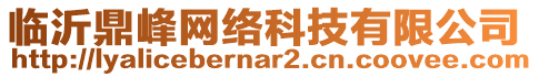 臨沂鼎峰網(wǎng)絡(luò)科技有限公司