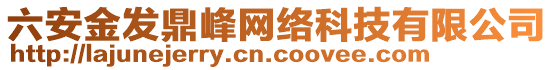 六安金發(fā)鼎峰網絡科技有限公司