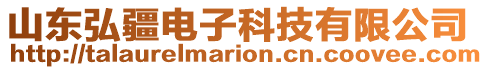 山東弘疆電子科技有限公司