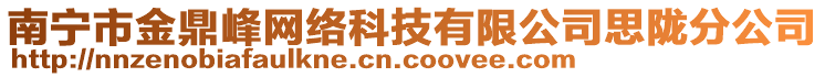 南寧市金鼎峰網(wǎng)絡(luò)科技有限公司思隴分公司