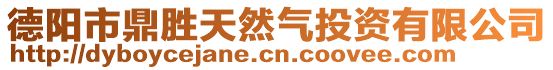 德陽市鼎勝天然氣投資有限公司