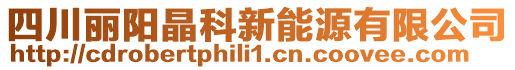 四川麗陽晶科新能源有限公司