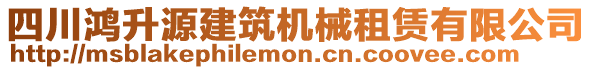 四川鴻升源建筑機(jī)械租賃有限公司