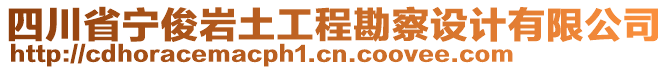 四川省寧俊巖土工程勘察設計有限公司