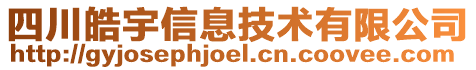 四川皓宇信息技術(shù)有限公司