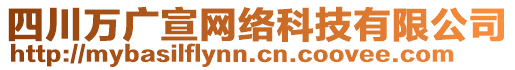 四川萬廣宣網(wǎng)絡(luò)科技有限公司