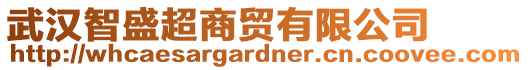 武漢智盛超商貿有限公司
