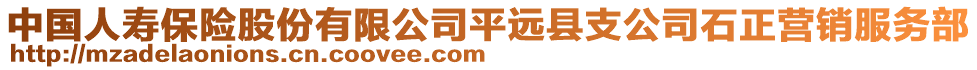 中国人寿保险股份有限公司平远县支公司石正营销服务部