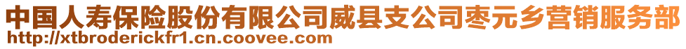 中国人寿保险股份有限公司威县支公司枣元乡营销服务部