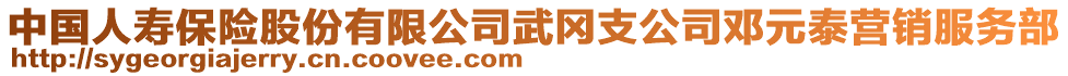 中国人寿保险股份有限公司武冈支公司邓元泰营销服务部