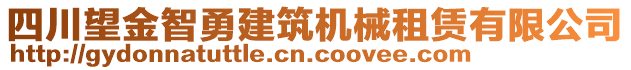 四川望金智勇建筑機械租賃有限公司