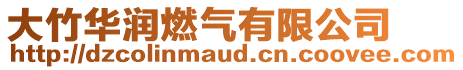 大竹華潤燃氣有限公司
