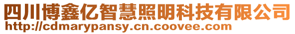 四川博鑫億智慧照明科技有限公司