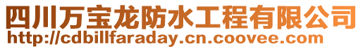 四川萬寶龍防水工程有限公司