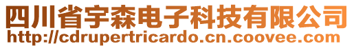 四川省宇森電子科技有限公司