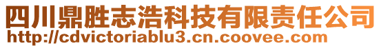 四川鼎勝志浩科技有限責(zé)任公司