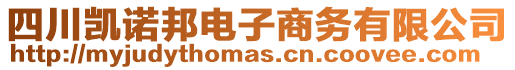 四川凱諾邦電子商務有限公司