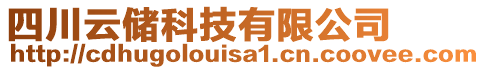 四川云儲科技有限公司