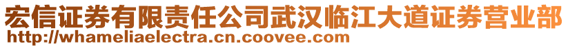 宏信證券有限責任公司武漢臨江大道證券營業(yè)部