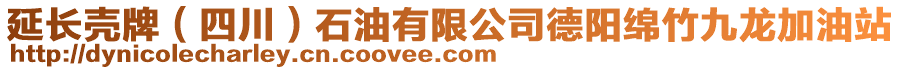 延長殼牌（四川）石油有限公司德陽綿竹九龍加油站