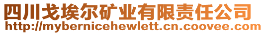 四川戈埃爾礦業(yè)有限責任公司