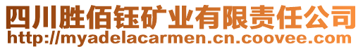 四川勝佰鈺礦業(yè)有限責任公司