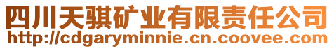 四川天騏礦業有限責任公司