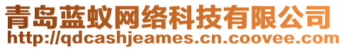 青島藍(lán)蟻網(wǎng)絡(luò)科技有限公司