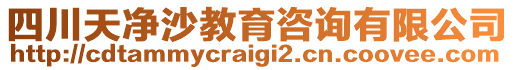 四川天凈沙教育咨詢有限公司