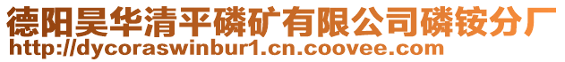 德阳昊华清平磷矿有限公司磷铵分厂