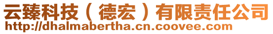 云臻科技（德宏）有限責任公司