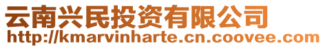 云南興民投資有限公司