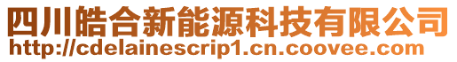 四川皓合新能源科技有限公司