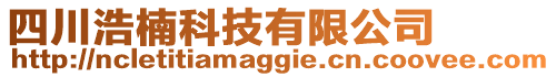 四川浩楠科技有限公司