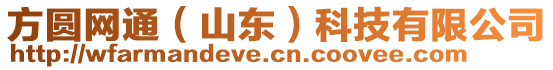 方圓網(wǎng)通（山東）科技有限公司