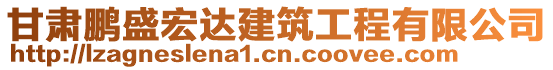 甘肅鵬盛宏達建筑工程有限公司