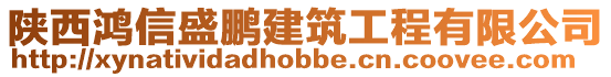 陜西鴻信盛鵬建筑工程有限公司