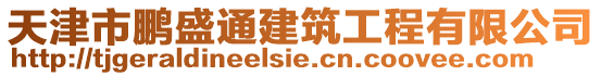 天津市鵬盛通建筑工程有限公司