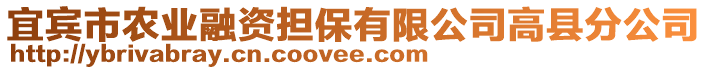 宜賓市農(nóng)業(yè)融資擔(dān)保有限公司高縣分公司