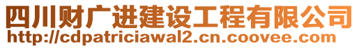 四川財廣進(jìn)建設(shè)工程有限公司