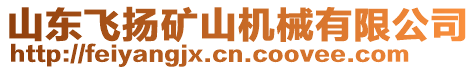 山東飛揚礦山機械有限公司