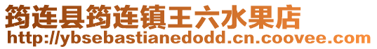 筠連縣筠連鎮王六水果店