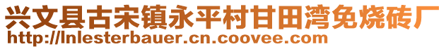 興文縣古宋鎮永平村甘田灣免燒磚廠