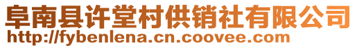 阜南縣許堂村供銷社有限公司