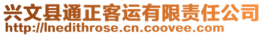 興文縣通正客運有限責(zé)任公司