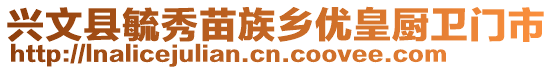 興文縣毓秀苗族鄉優皇廚衛門市
